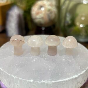 Mini crystal mushroom bundle